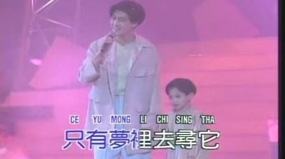林志颖 - 野菊花