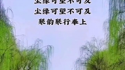爆爆公子 - 胡蜜丹、崔伟立《寻遍千山只为你 (对唱版)》饭制版