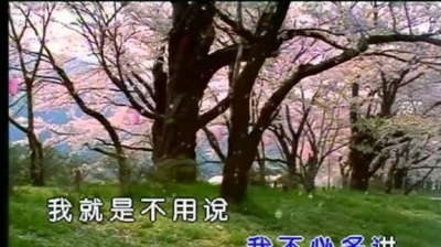 黑豹乐队 - 体会