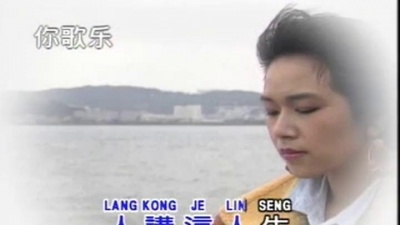陈雷 - 海海人生