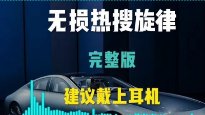 潮我看 - 这样的曲子上高速，超级燃，要想开车不疲惫就听它，硬曲完整版重低音dj#车载音乐 #音乐 #硬曲dj #音乐分享 #dj #dj舞曲 #车载dj音乐 #劲爆dj