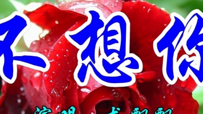 经典金曲 - 经典情歌，龙飘飘一首《不想你》好听极了
