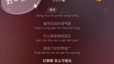 球球是只猫 - #陈慧琳 红眼睛  一首 错过了N年 好听的歌