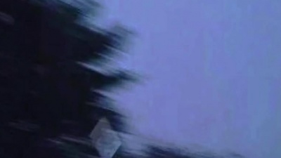 柯柯柯啊 - 遇星