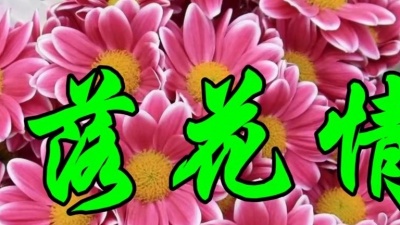 小明爱听歌 - 高胜云一首经典老歌《落花情》好听醉人