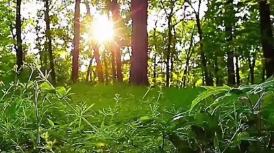 刘曦 - 自从那天遇见你（ktv版）