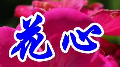 家有女儿Ren - 周虹一首经典情歌《花心》好听极了