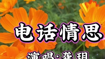 超拽的二狗 - 龚玥一首《电话情思》这声音美艳了，听不腻