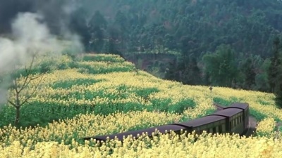 五音本草 - 经典萨克斯纯音乐《车站》是离别还是等待，曲调优美舒缓