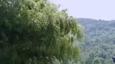 微雨轻风 - 电视剧《武当一剑》主题曲《一剑一见》开创武侠新世界