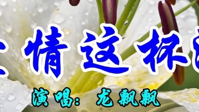 小明爱听歌 - 龙飘飘一首经典情歌《爱情这杯酒》好听极了