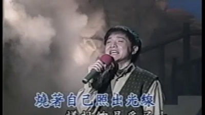 叶启田 - 慈母心