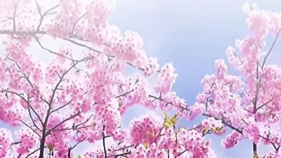 颜王爷 - 五音养五脏|笛声轻快悠扬，角调入肝，舒缓心情烦燥易怒可反复听#声音疗愈 #冥想 #修心养性 #瑜伽冥想
