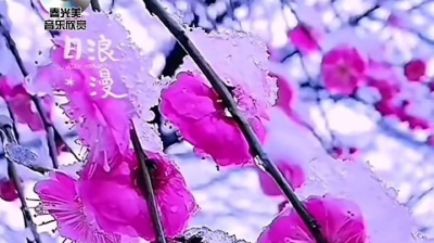异彩微影 - 《春光美》纯音乐#春天来了，走出户外聆听悦耳动听音乐去春游