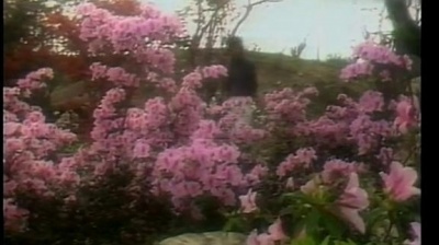 蔡国权 - 再见也许不再会