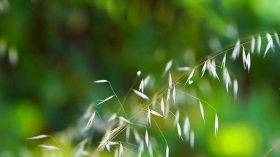 钱贝妮 - 朋友珍重