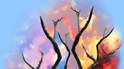 梦言归人 - 这是一棵小树彩色的梦#ps#修图#彩色天空#天空梦幻图片 #摄影 #视觉艺术
