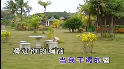 郑智化 - 蕾丝花边