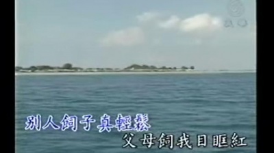 杨宗宪 - 别问阮的名