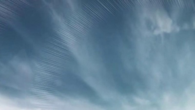 李认针 - 谁的生活不是鸡零狗碎