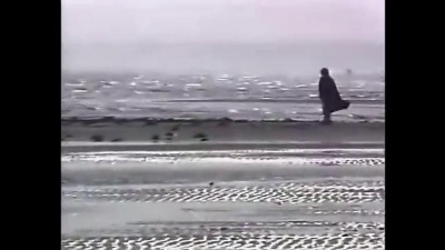 韦唯 - 恋寻