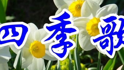 别捏七七脸 - 怀旧情歌，龚玥一首《四季歌》甜美至极