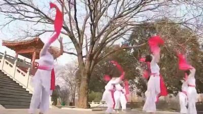 残花凋零 - 《书简舞》美美哒的中国舞~微信danse20