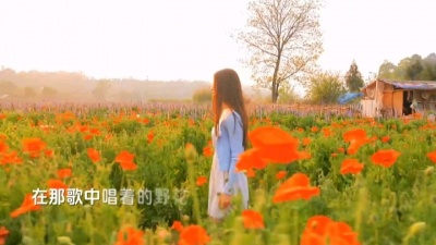刘鑫 - 沙丘，刀郎音乐