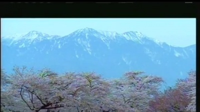 张明敏 - 青海青