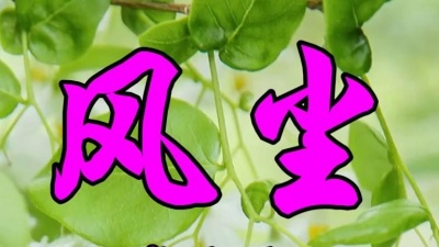 Joanna娟儿 - 伤感情歌，龙飘飘一首《风尘》好听极了