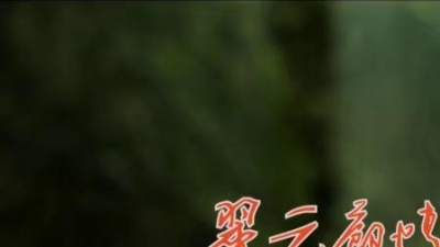 林霞 - 翠云廊情歌