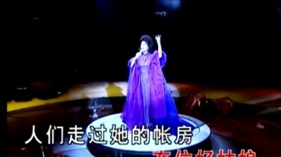 蔡琴 - 在那遥远的地方 (KTV版)