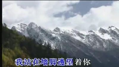 林翠萍 - 爱你爱你