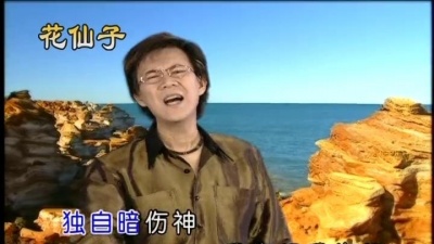 庄学忠 - 负心的人