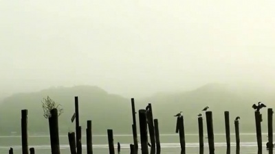 艾洛儿 - 一首伤感情歌《别亦难》，如此婉转缠绵，听得心碎又心醉！