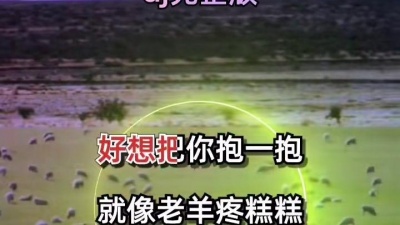 壁纸手机 - #陕北民歌 #棉袄袄 #完整版 #中文dj