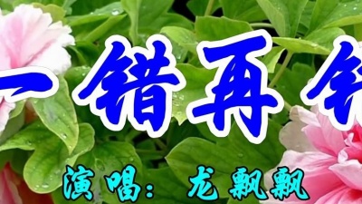 音乐张老板 - 龙飘飘一首经典情歌《一错再错》好听极了