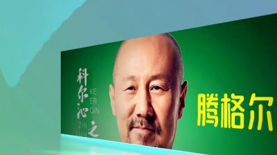 豆豆果 - 腾格尔《科尔沁之恋》饭制版