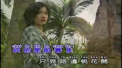 费玉清 - 又见柳叶青