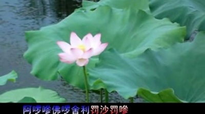 湘佛莲 - 大悲咒