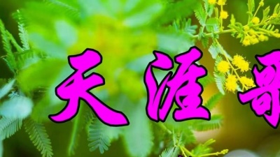 动人金曲 - 韩宝仪一首怀旧老歌《天涯歌女》好听至极！
