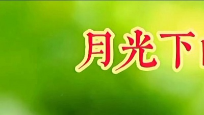 宁海燕 - （月光下的凤尾竹）葫芦丝音乐视频欣赏