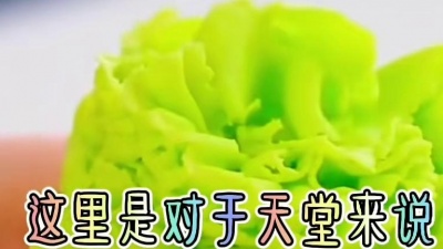 扒蒜小妹爱吐槽 - 关于天堂岛之歌的故事#讲故事 #学生党 #超爆小故事 #00后 #天堂岛之歌