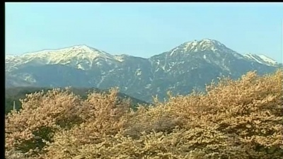 李娜 - 别离家乡