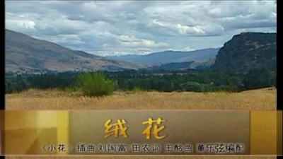 董文华 - 绒花