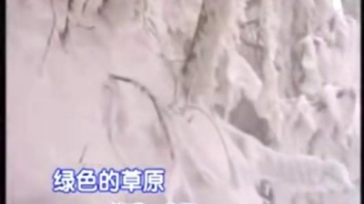龙梅 - 绿色的草原