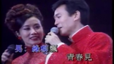 郑少秋 - 爱在心内暖