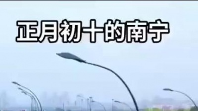 紫气东来 - 全民抗疫