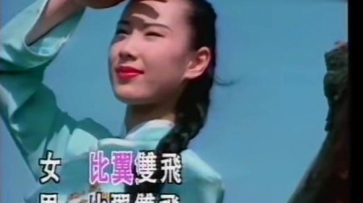 华语群星 - 夫妻双双把家还 (KTV版)