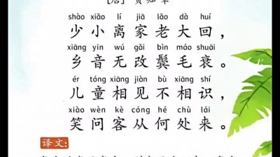 crystalpp521琳琳 - 回乡偶书二首（其一）